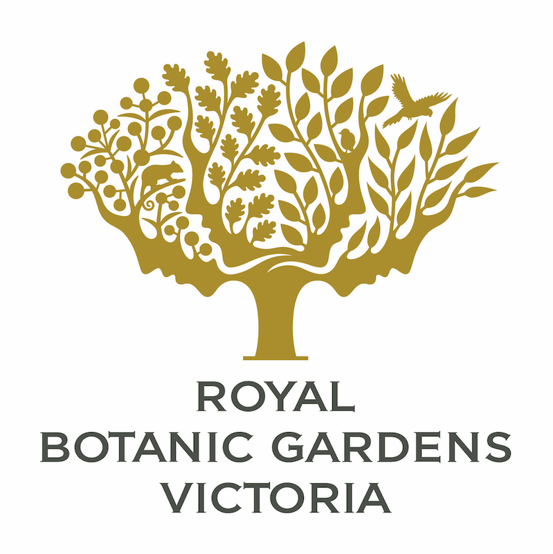 Royal Botanic Gardens Melbourne - Southern Cross Lawn